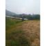  Land for sale in Guarne, Antioquia, Guarne