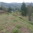  Land for sale in Rionegro, Antioquia, Rionegro