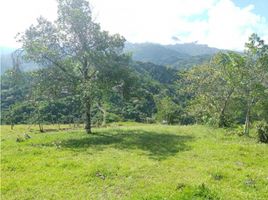  Terrain for sale in San Jeronimo, Antioquia, San Jeronimo