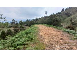  Terreno (Parcela) en venta en San Jose Del Guaviare, Guaviare, San Jose Del Guaviare