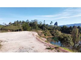  Terreno (Parcela) en venta en Penol, Antioquia, Penol