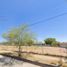  Grundstück zu verkaufen in Hermosillo, Sonora, Hermosillo