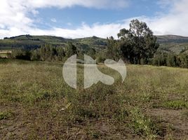  Grundstück zu verkaufen in Guano, Chimborazo, San Isidro De Patulu, Guano, Chimborazo