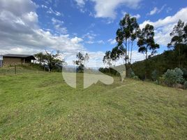  Terreno (Parcela) en venta en Nulti, Cuenca, Nulti