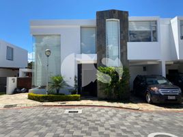 3 Bedroom House for sale in Tumbaco, Quito, Tumbaco