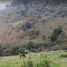  Land for sale in Huixtla, Chiapas, Huixtla