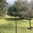  Grundstück zu verkaufen in Santiago, Nuevo Leon, Santiago