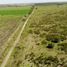  Land for sale in Salavina, Santiago Del Estero, Salavina, Santiago Del Estero