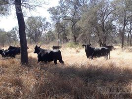  Terreno (Parcela) en venta en Almirante Brown, Chaco, Almirante Brown