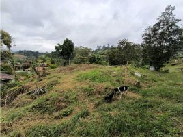  Terreno (Parcela) en venta en Guarne, Antioquia, Guarne