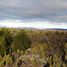  Terreno (Parcela) en venta en Chubut, Cushamen, Chubut