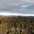  Terreno (Parcela) en venta en Chubut, Cushamen, Chubut