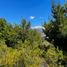  Land for sale in Rio Negro, Bariloche, Rio Negro