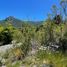  Terreno (Parcela) en venta en Rio Negro, Bariloche, Rio Negro