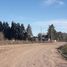  Land for sale in San Vicente, Buenos Aires, San Vicente