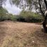  Land for sale in Colon, Cordoba, Colon