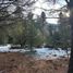  Land for sale in Neuquen, Lacar, Neuquen