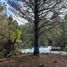  Land for sale in Neuquen, Lacar, Neuquen