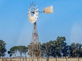  Land for sale in Carlos Tejedor, Buenos Aires, Carlos Tejedor