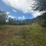  Land for sale in La Ceja, Antioquia, La Ceja