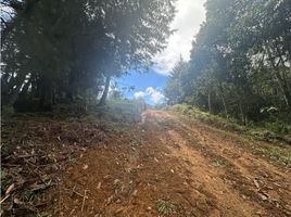  Terrain for sale in La Ceja, Antioquia, La Ceja