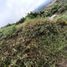 Terrain à vendre à Guarne, Antioquia, Guarne
