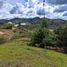  Land for sale in Paicol, Huila, Paicol