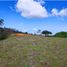  Land for sale in Paicol, Huila, Paicol