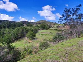  Land for sale in Paicol, Huila, Paicol