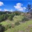  Land for sale in Paicol, Huila, Paicol