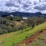  Land for sale in Paicol, Huila, Paicol