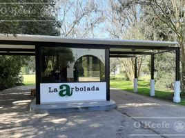  Grundstück zu verkaufen in Berazategui, Buenos Aires, Berazategui