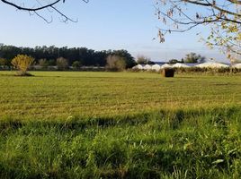  Land for sale in La Plata, Buenos Aires, La Plata