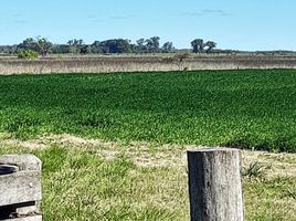  Terreno (Parcela) en venta en General Paz, Buenos Aires, General Paz