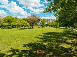  Land for sale in Colon, Cordoba, Colon