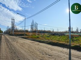  Terreno (Parcela) en venta en Confluencia, Neuquen, Confluencia