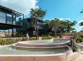 在墨西哥出租的 别墅, Merida, Yucatan, 墨西哥