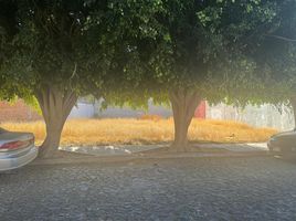 Terrain à vendre à El Marques, Queretaro, El Marques