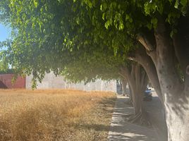 Terrain à vendre à El Marques, Queretaro, El Marques