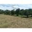  Land for sale in Las Lajas, Chame, Las Lajas