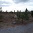  Land for sale in Malchingui, Pedro Moncayo, Malchingui