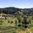  Terreno (Parcela) en venta en Chile, Yumbel, Biobío, Biobío, Chile
