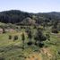  Terreno (Parcela) en venta en Chile, Yumbel, Biobío, Biobío, Chile