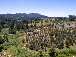  Terreno (Parcela) en venta en Chile, Yumbel, Biobío, Biobío, Chile