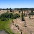  Terreno (Parcela) en venta en Chile, Yumbel, Biobío, Biobío, Chile