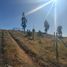  Terreno (Parcela) en venta en Chile, Quillon, Diguillín, Ñuble, Chile