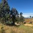  Terreno (Parcela) en venta en Chile, Quillon, Diguillín, Ñuble, Chile