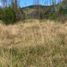  Terreno (Parcela) en venta en Chile, Concepcion, Concepción, Biobío, Chile