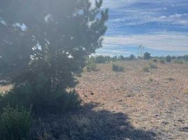  Terreno (Parcela) en venta en Chile, Cabrero, Biobío, Biobío, Chile