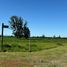  Land for sale in San Carlos, Nuble, San Carlos, Punilla